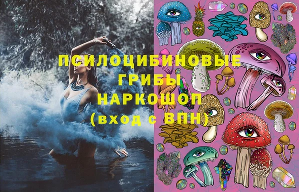 дживик Абинск