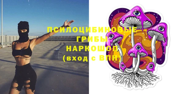 дживик Абинск