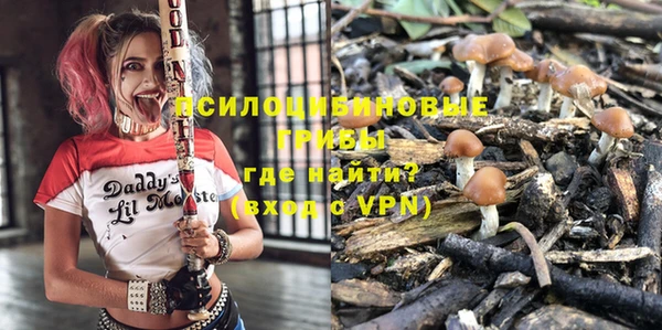 прущий лед Абаза