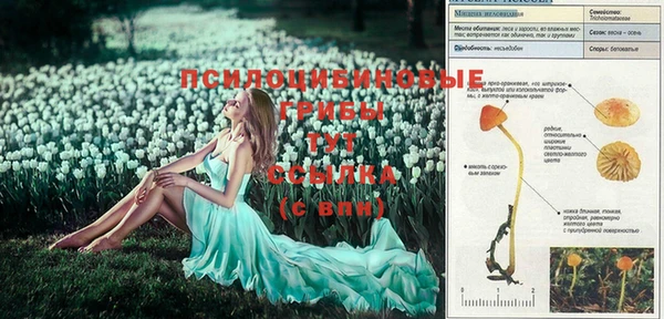 apvp Абдулино