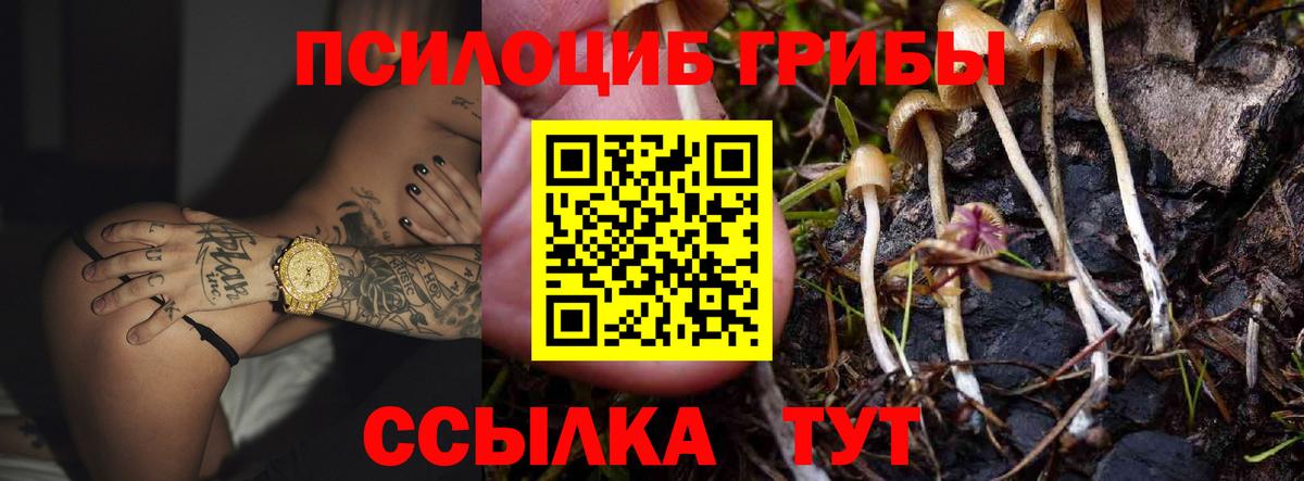 Галлюциногенные грибы MAGIC MUSHROOMS  Псилоцибиновые грибы Psilocybine cubensis  Партизанск  Вход с VPN 