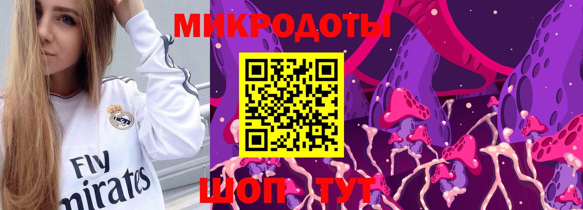Псилоцибиновые грибы Psilocybe Партизанск